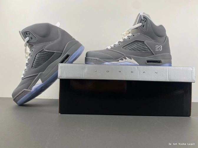 5 Air Wolf Grey Jordan 136027-005 Retro 0810